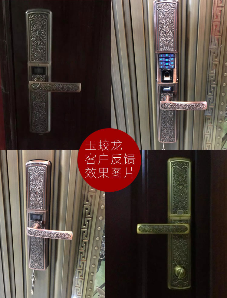 玉蛟龍智能門鎖 智能鎖防窺視輸入、半導體/光學指紋傳感器