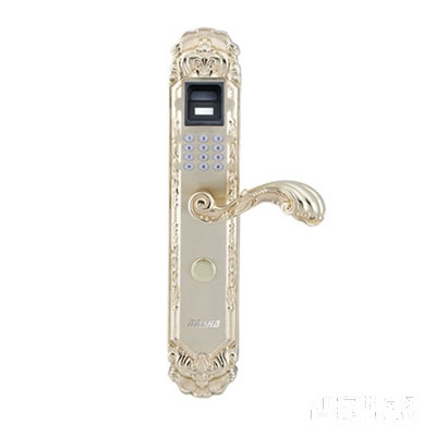 納莎歐式風(fēng)格別墅鎖 三合一指紋鎖 入戶門鎖