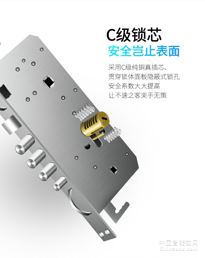 羅曼斯人臉識別智能鎖DD4 全自動智能鎖家用防盜門指紋鎖