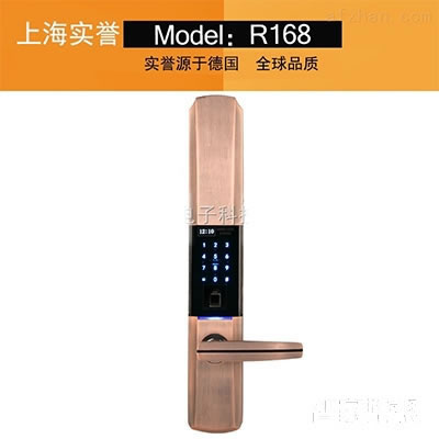 實(shí)譽(yù)指紋鎖 室外電子防盜門(mén)鎖 智能半導(dǎo)體鎖