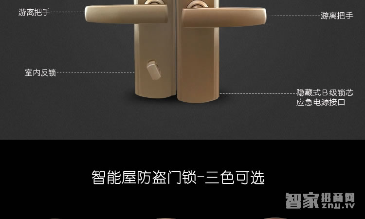 智能屋指紋鎖 家用智能鎖(香檳金)