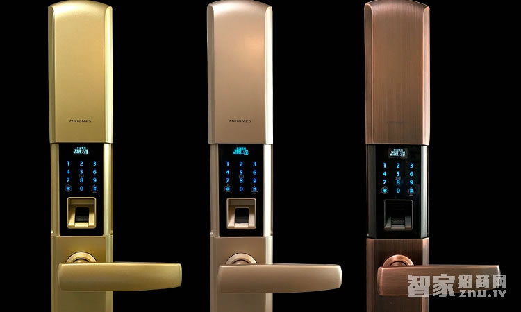 智能屋指紋鎖 家用智能鎖(香檳金)