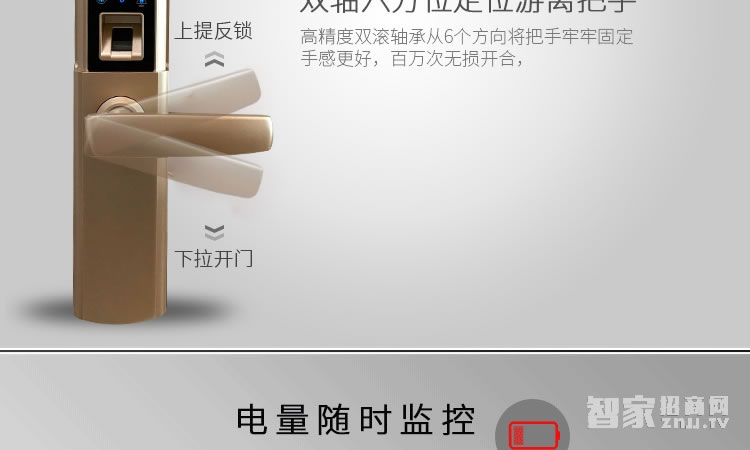 智能屋指紋鎖 家用智能鎖(香檳金)