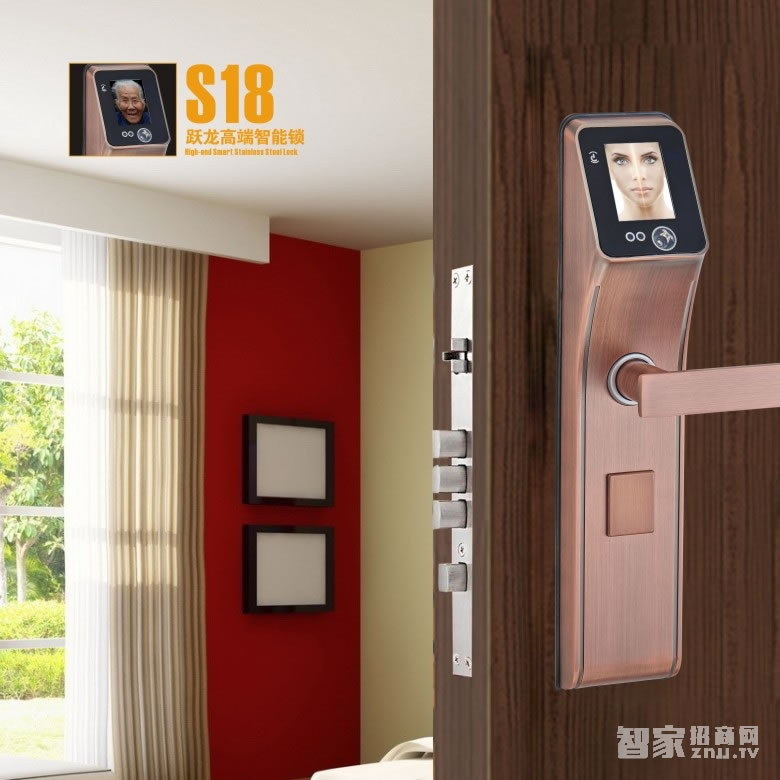 放龍科技智能鎖 人臉識別智能門鎖 家用入戶門防盜門鎖