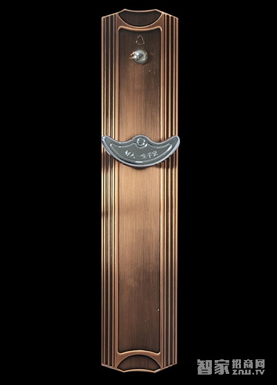 家旺盛無孔遙控門鎖 家用智能電子鎖