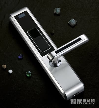 日日紅智能鎖 家用大門智能鎖 公寓電子密碼鎖