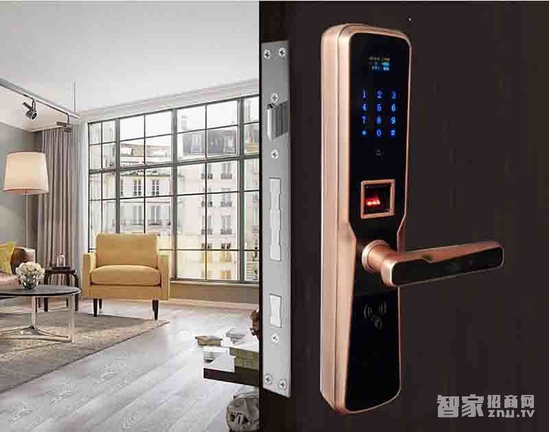 堅甲衛士全自動四合一指紋鎖 防盜智能門鎖