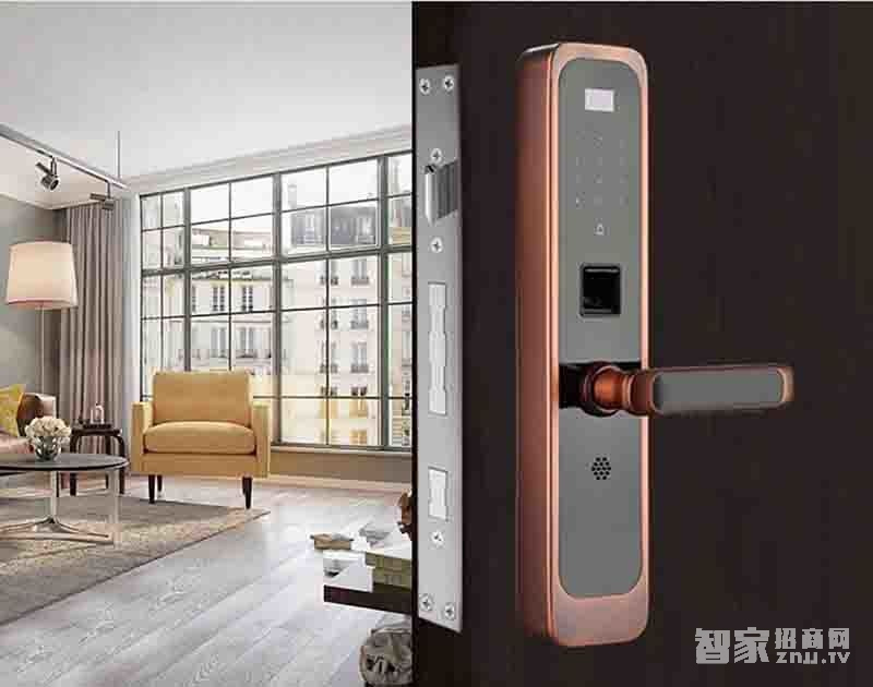 堅甲衛(wèi)士紅外全自動智能指紋鎖 直板刷卡鎖