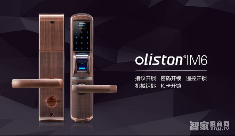 歐萊斯頓 家用防盜門鎖指紋鎖智能鎖
