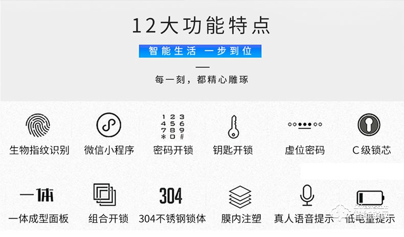 朗菲智能鎖 全自動推拉式智能貓眼鎖