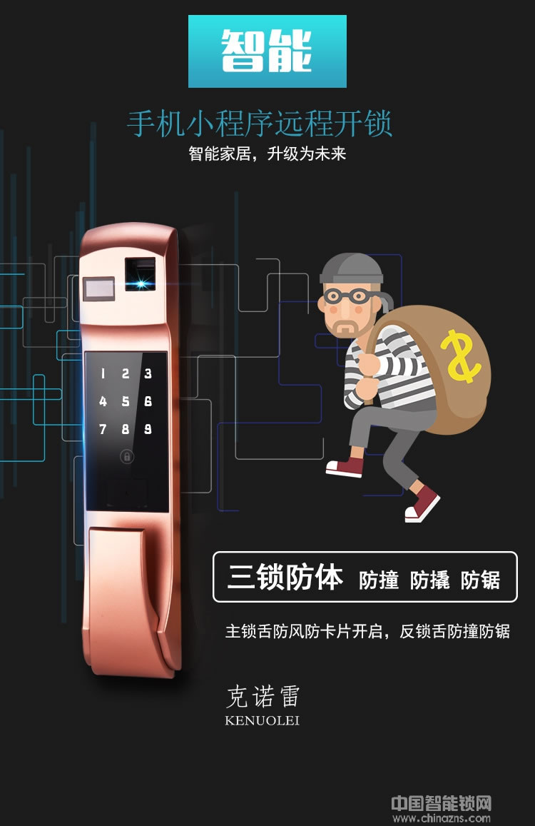 克諾雷智能鎖 家用防盜門智能鎖 全自動(dòng)密碼鎖