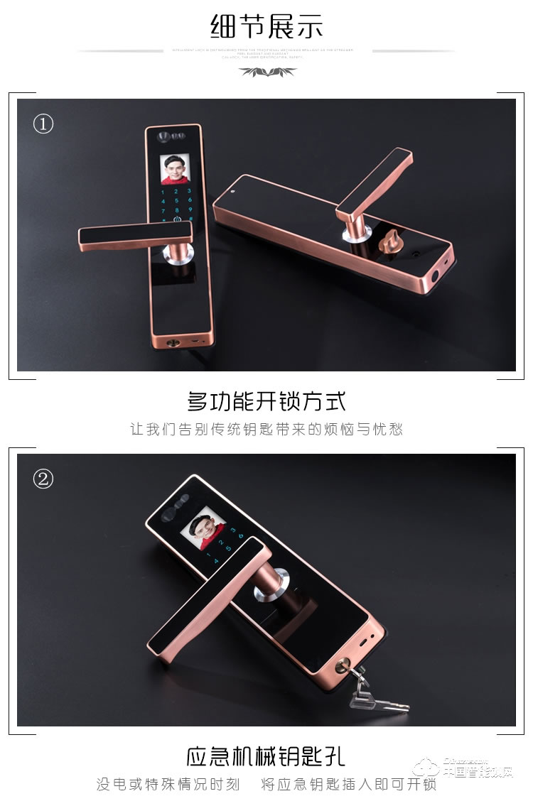 伊派爾人臉識別鎖 掌靜脈識別鎖 指紋鎖密碼鎖