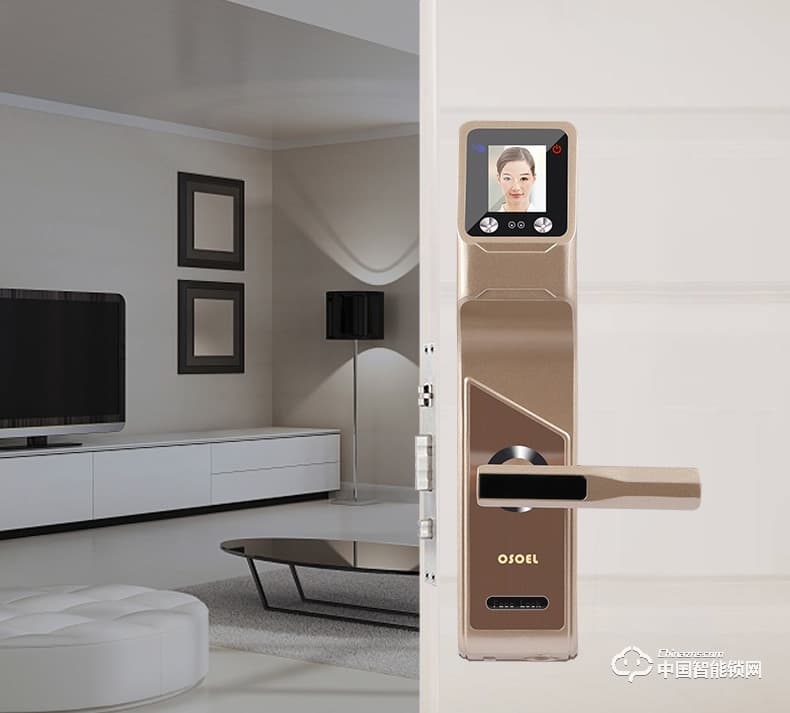 帝豐智能鎖 人臉識別智能鎖 家用電子密碼鎖