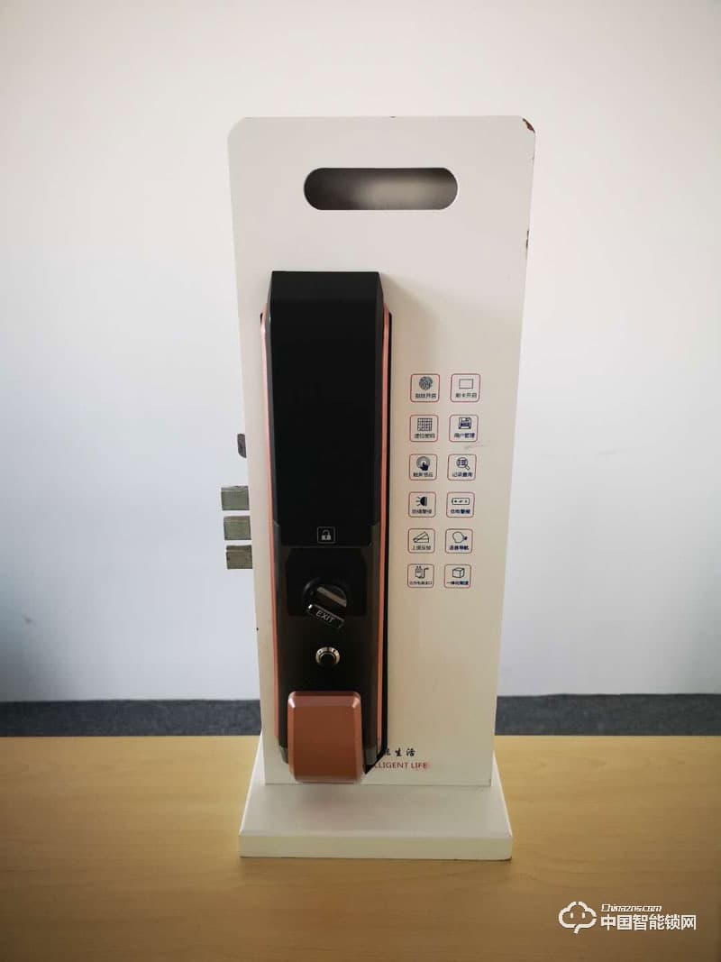 云鎖信安智能鎖 全自動推拉指紋鎖 家用智能密碼鎖