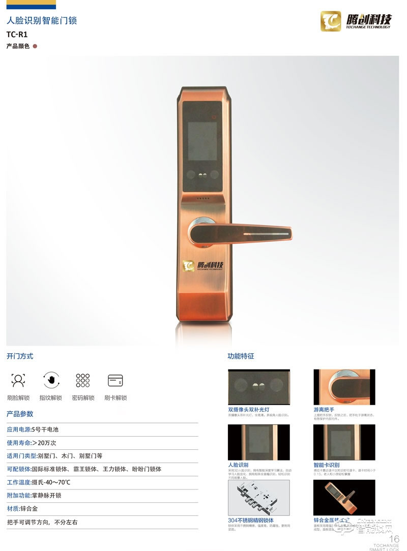 騰創智能鎖 鋅合金別墅門木門人臉識別鎖 防盜門智能鎖