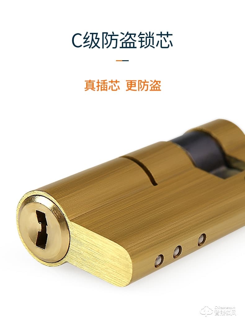 巨頭智能鎖 復古銅門雙開門智能門鎖