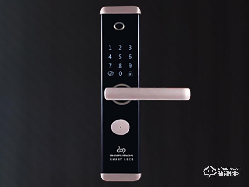 多普奈斯智能鎖 DPS01直板指紋密碼智能鎖