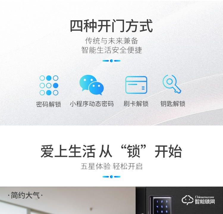 西紅仕智能鎖 H2公寓互聯網密碼防盜門鎖