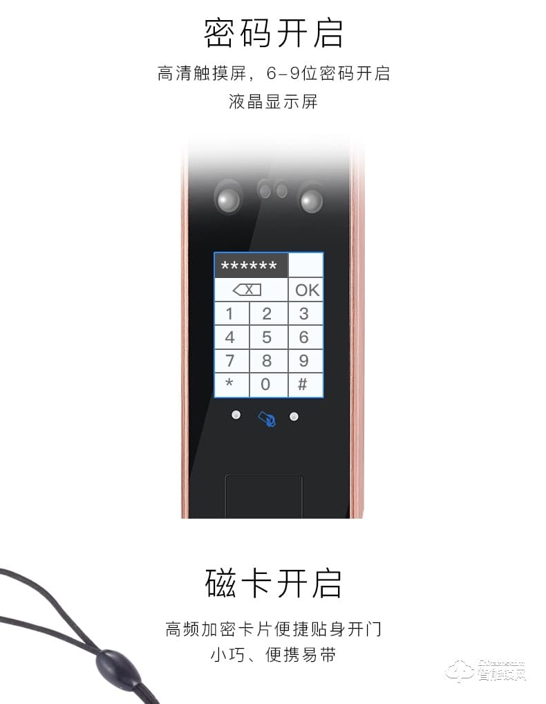 邦臣智能鎖 F3全自動人臉識別鎖大門鎖