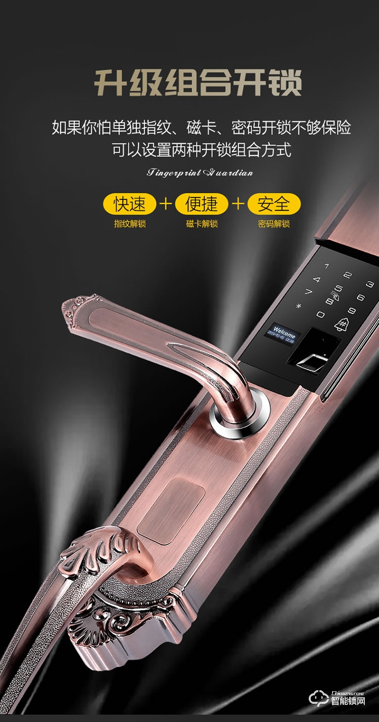 薩萊明智能鎖 V8別墅鋅合金智能門鎖