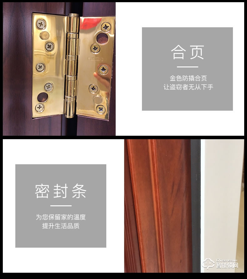 TATA智能門 ZM003T防盜入戶門