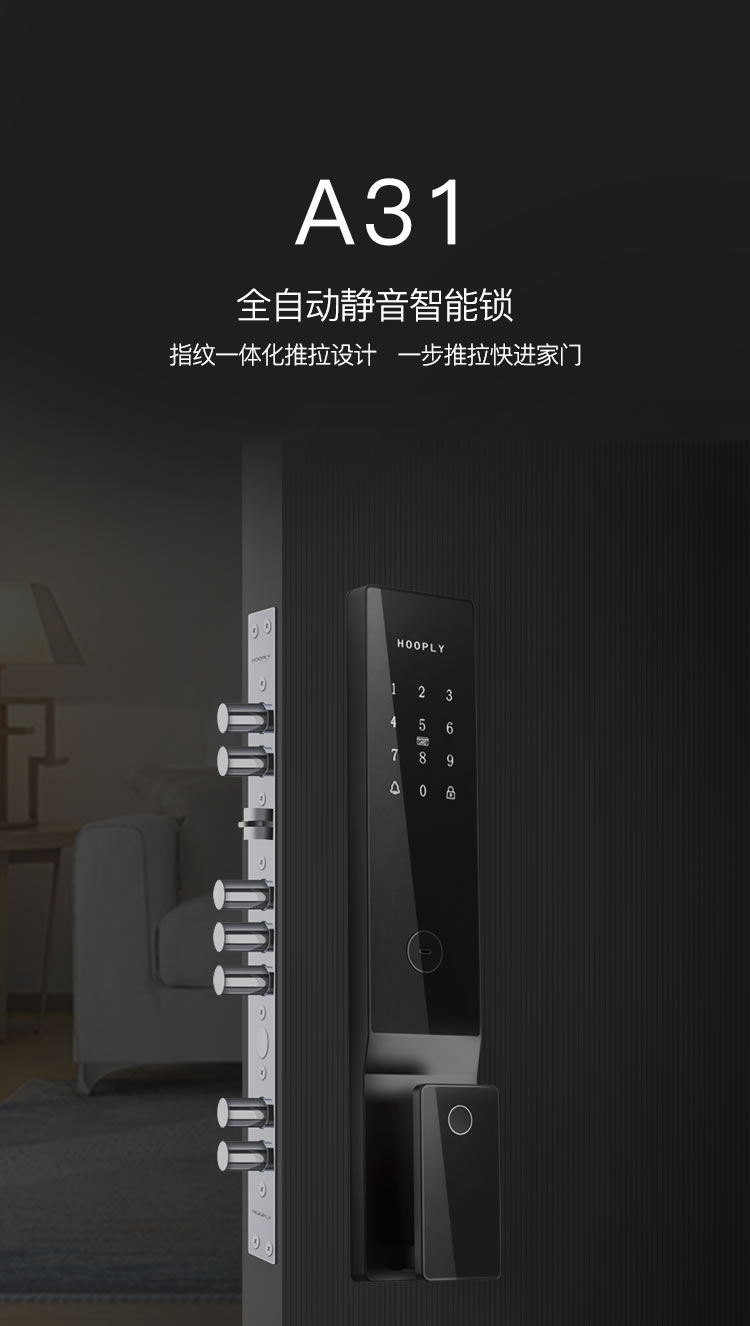 鴻利智能鎖 A31家用防盜門密碼智能門鎖