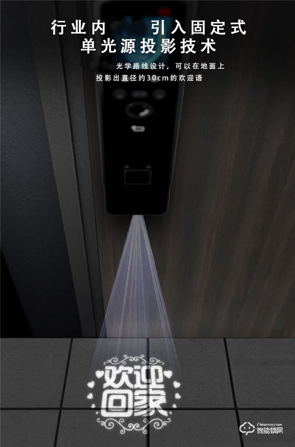 凌振智能鎖 家用全自動人臉識別智能鎖