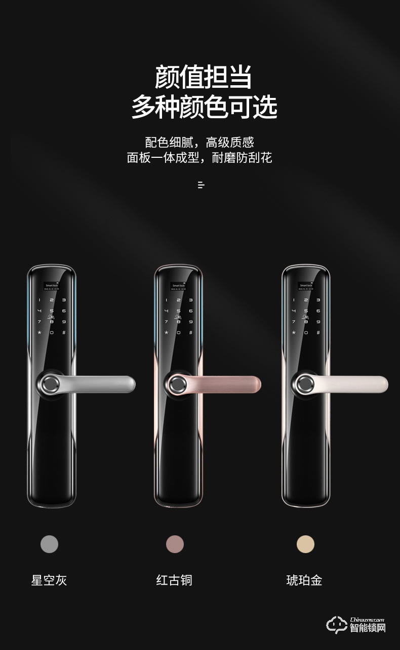 卡內締智能鎖  R15家用防盜門智能鎖