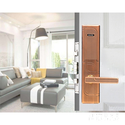 有鎖智能鎖 滑蓋指紋鎖防盜門智能鎖三防鎖體