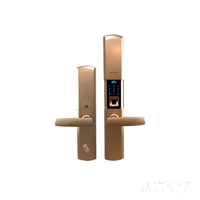 智能屋指紋鎖 家用智能鎖(香檳金)