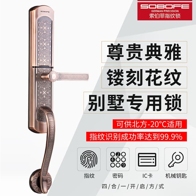 索伯菲智能鎖 810奢華歐式復(fù)古別墅雙開(kāi)門(mén)鎖