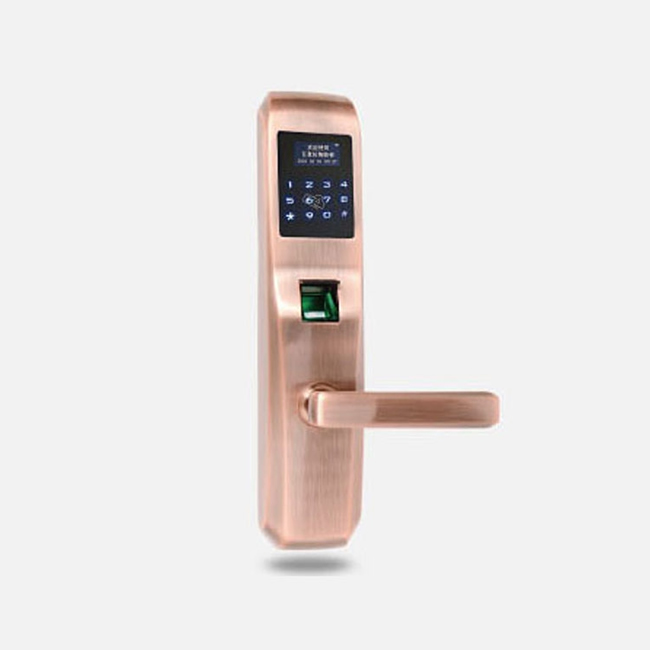 百意倫復古系列指紋密碼鎖 防貓眼智能鎖