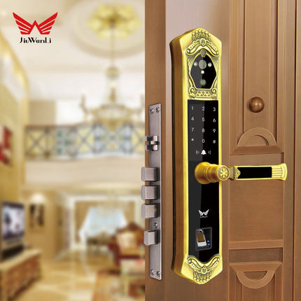 九萬(wàn)里智能鎖J900 歐式指紋鎖家用防盜門高端別墅大門鎖