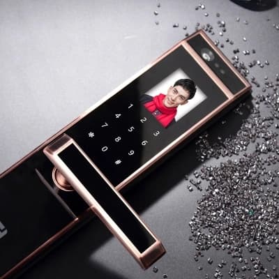 伊派爾人臉識別掌靜脈指紋鎖家用防盜門鎖智能鎖密碼鎖家居智能鎖