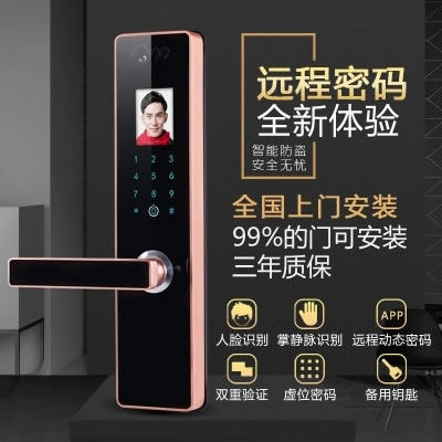 伊派爾人臉識別鎖 掌靜脈識別鎖 指紋鎖密碼鎖