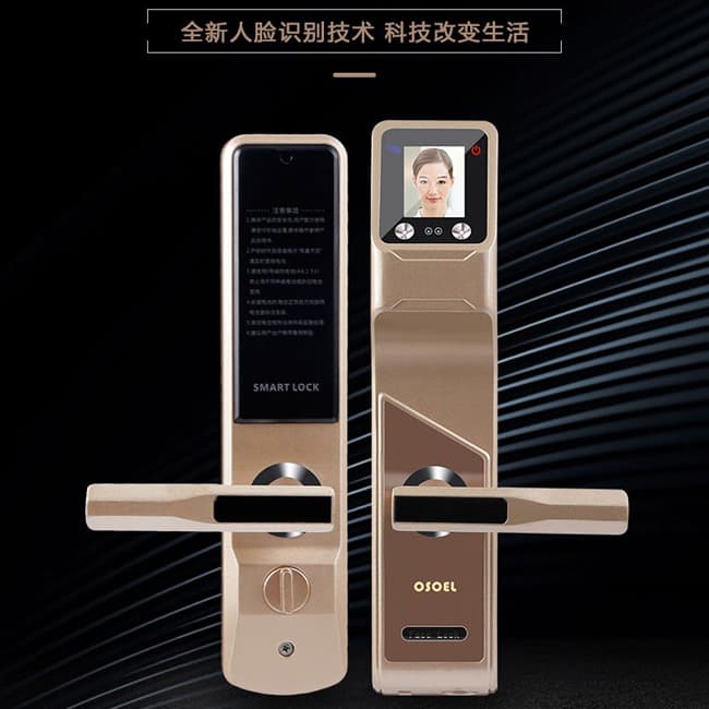 帝豐智能鎖 人臉識(shí)別智能鎖 家用電子密碼鎖