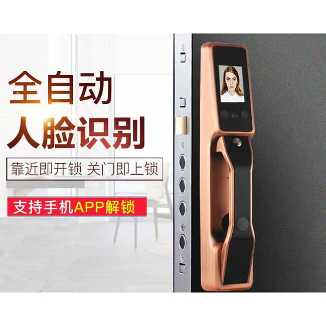 智得利智能鎖 人臉識別智能鎖 家用電子密碼鎖A-098