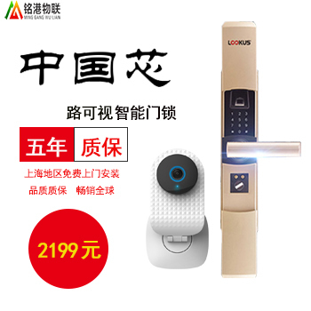 銘港物聯(lián)智能鎖 經(jīng)濟版智能指紋密碼門鎖套餐