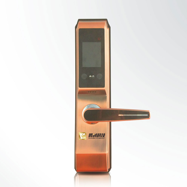 騰創(chuàng)智能鎖 鋅合金別墅門木門人臉識別鎖 防盜門智能鎖