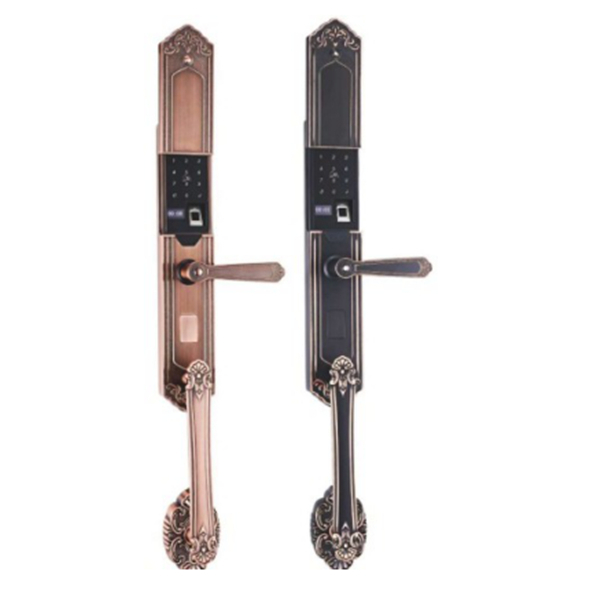 方正智能鎖 FZ-19808歐式自動(dòng)滑蓋智能鎖