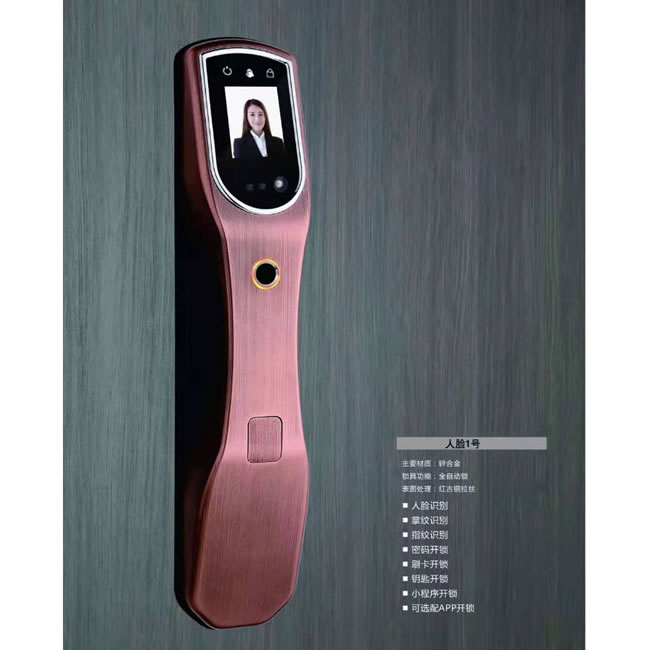 拉多拉斯智能鎖 人臉1號全自動智能鎖
