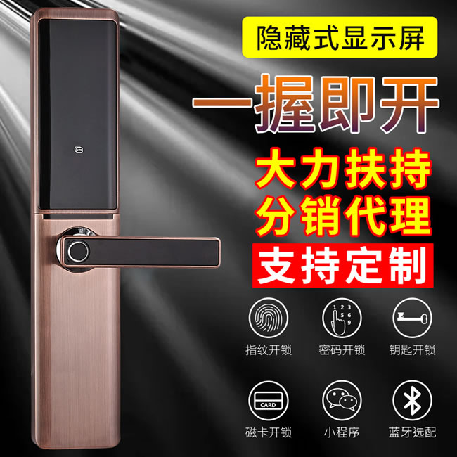 康辰家福智能鎖 F778指紋密碼鎖防盜門(mén)鎖