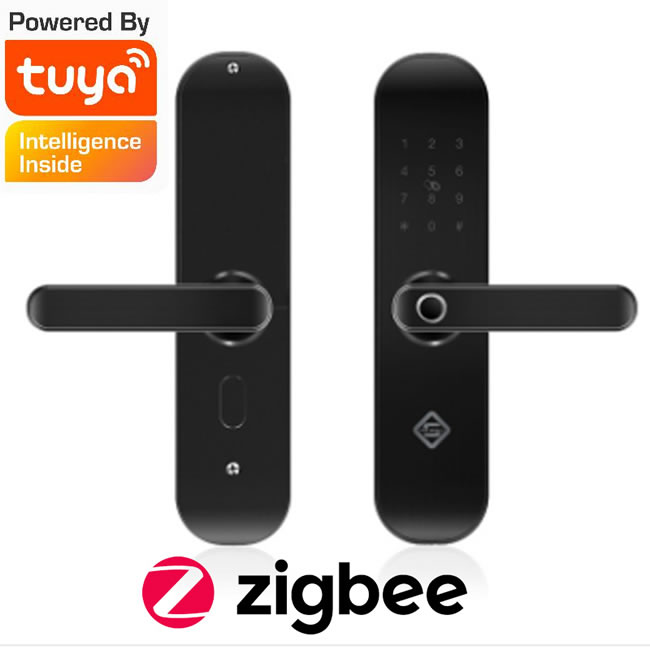 涂鴉門鎖合作案例 指芯智能鎖