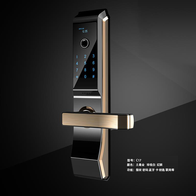億宸智能鎖 C17家用防盜門智能聯網鎖