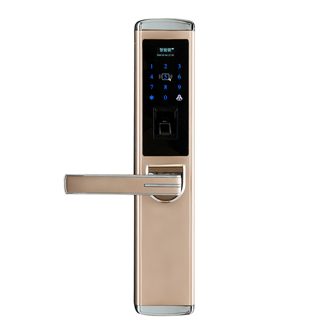 波獅智能鎖 B-601家用防盜門密碼智能門鎖