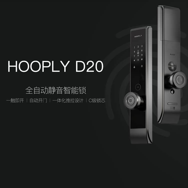 鴻利智能鎖 D20全自動(dòng)指紋鎖家用防盜門