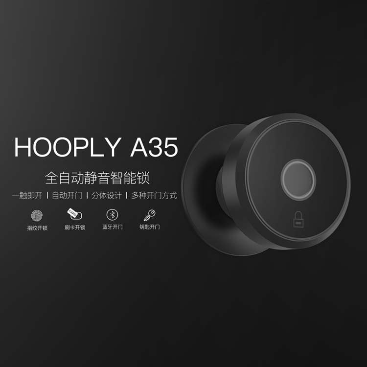 鴻利智能鎖 A35全自動(dòng)靜音智能門鎖
