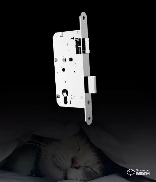 家居界新寵丨室內(nèi)智能鎖正當(dāng)紅，將無鑰匙進(jìn)行到底！