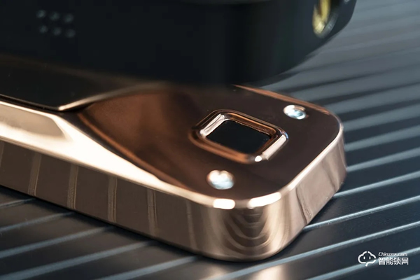 德施曼麒麟R8人臉識別智能鎖靜態體驗