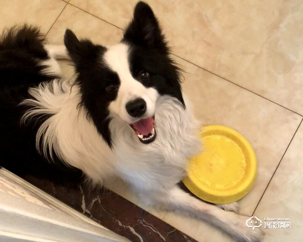 你家大門真的安全么？惠氏X68一握開智能鎖真實使用測評